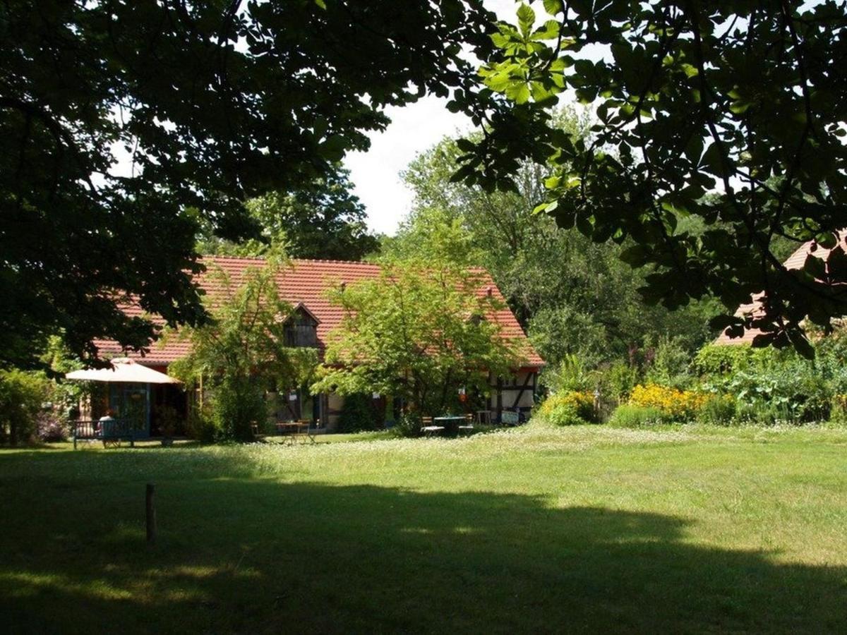 Ferienwohnung Am Roten Schloss Glashutte (Brandenburg) Exterior foto